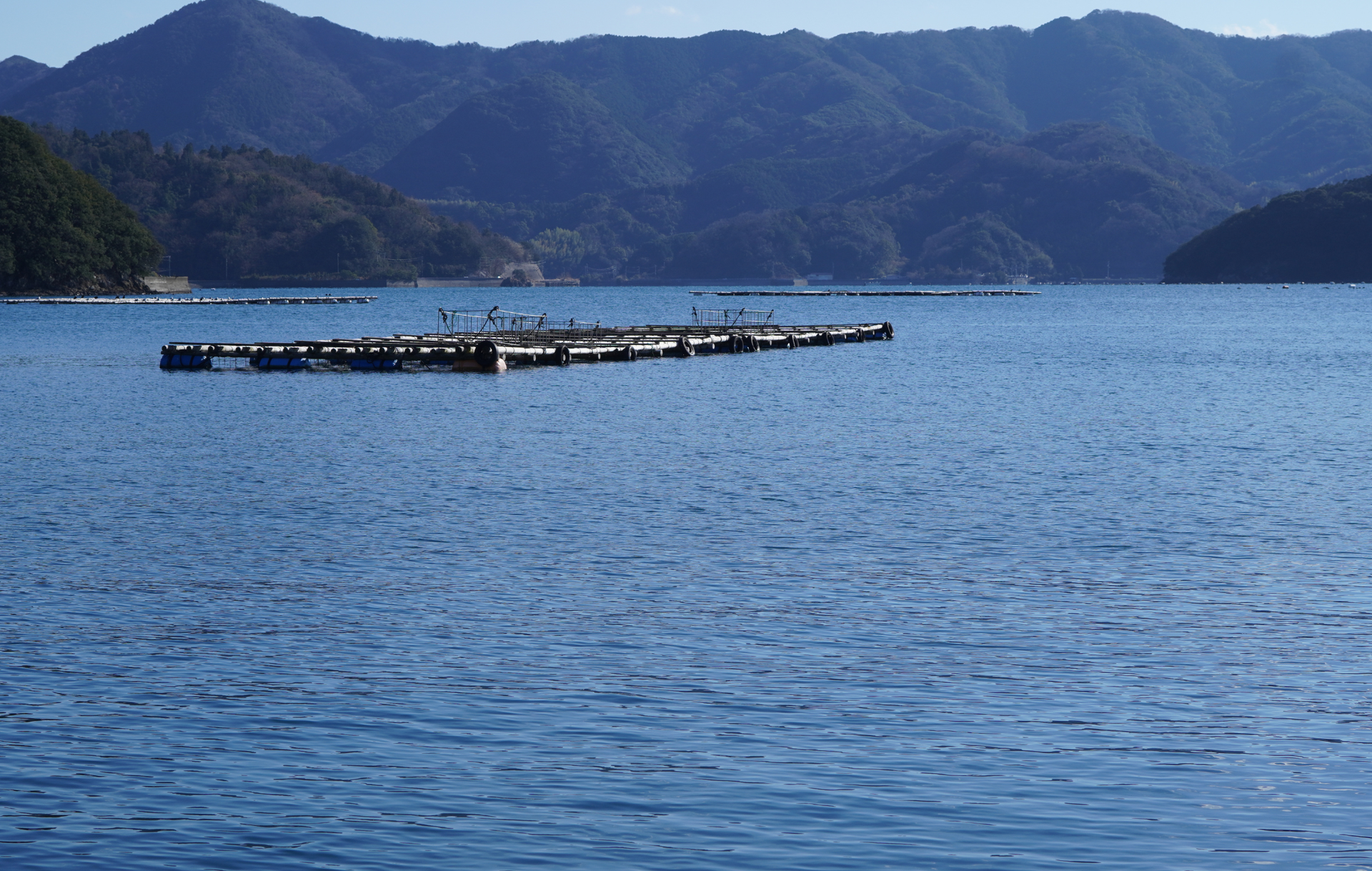 倫理的で透明性の高い素材