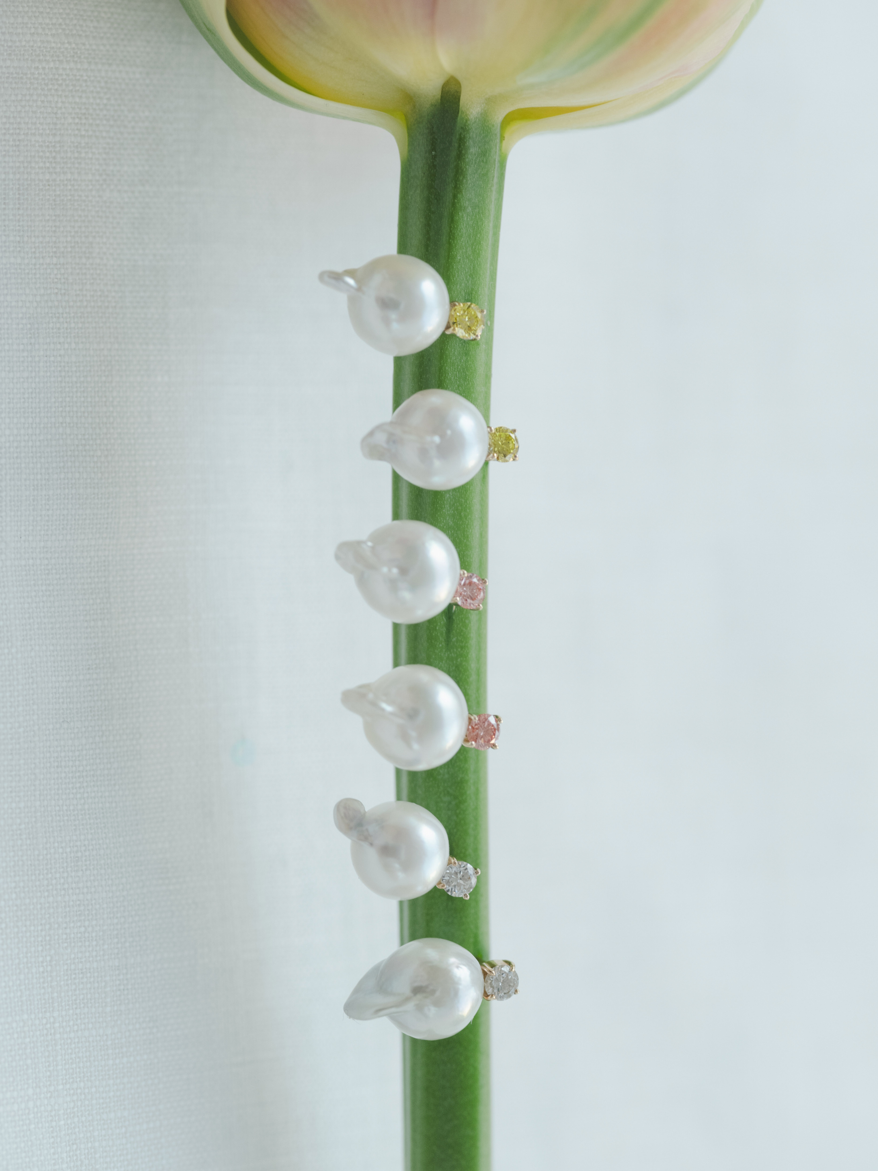 Akoya pearl point earringsの各種画像(アコヤ真珠とラボグロウンダイヤモンドのイヤリング)