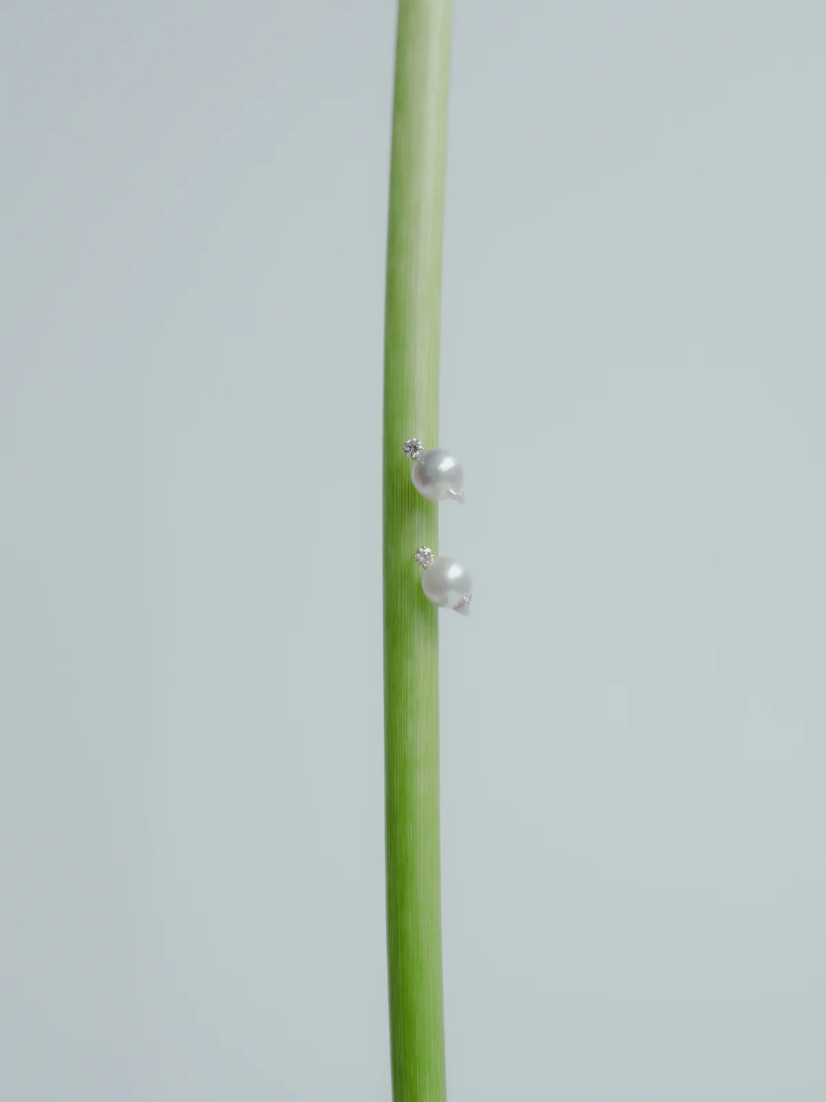 Akoya pearl point earrings (pair)の撮影画像(アコヤ真珠とラボグロウンダイヤモンドのイヤリング)