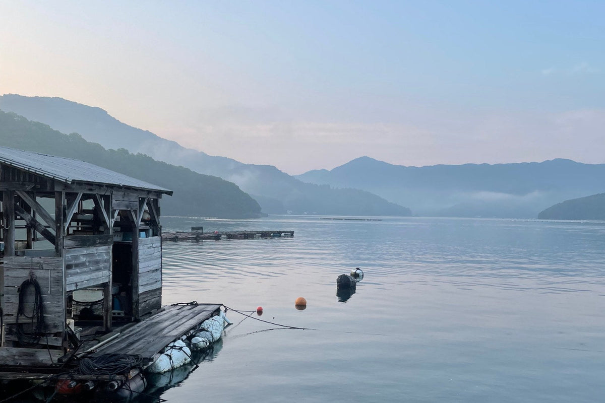 あこや真珠とは。日本の海が育てる真珠と、宇和島のバロック真珠のこと