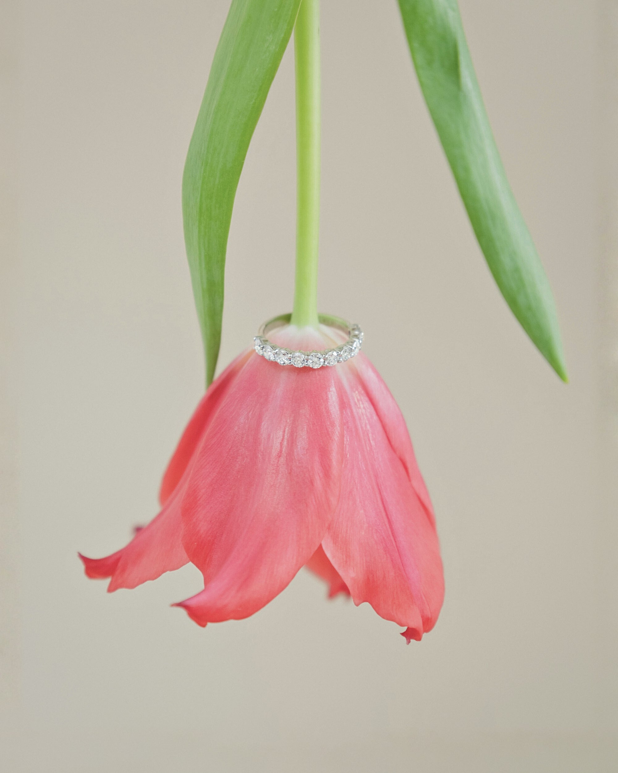 [Lumière] Half eternity ring 1ct Pt