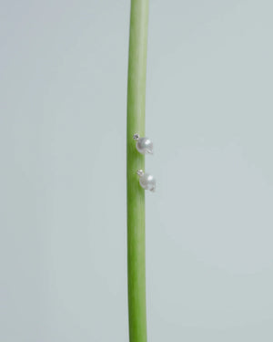 [Unique Akoya Pearl] Akoya pearl point earrings (pair)