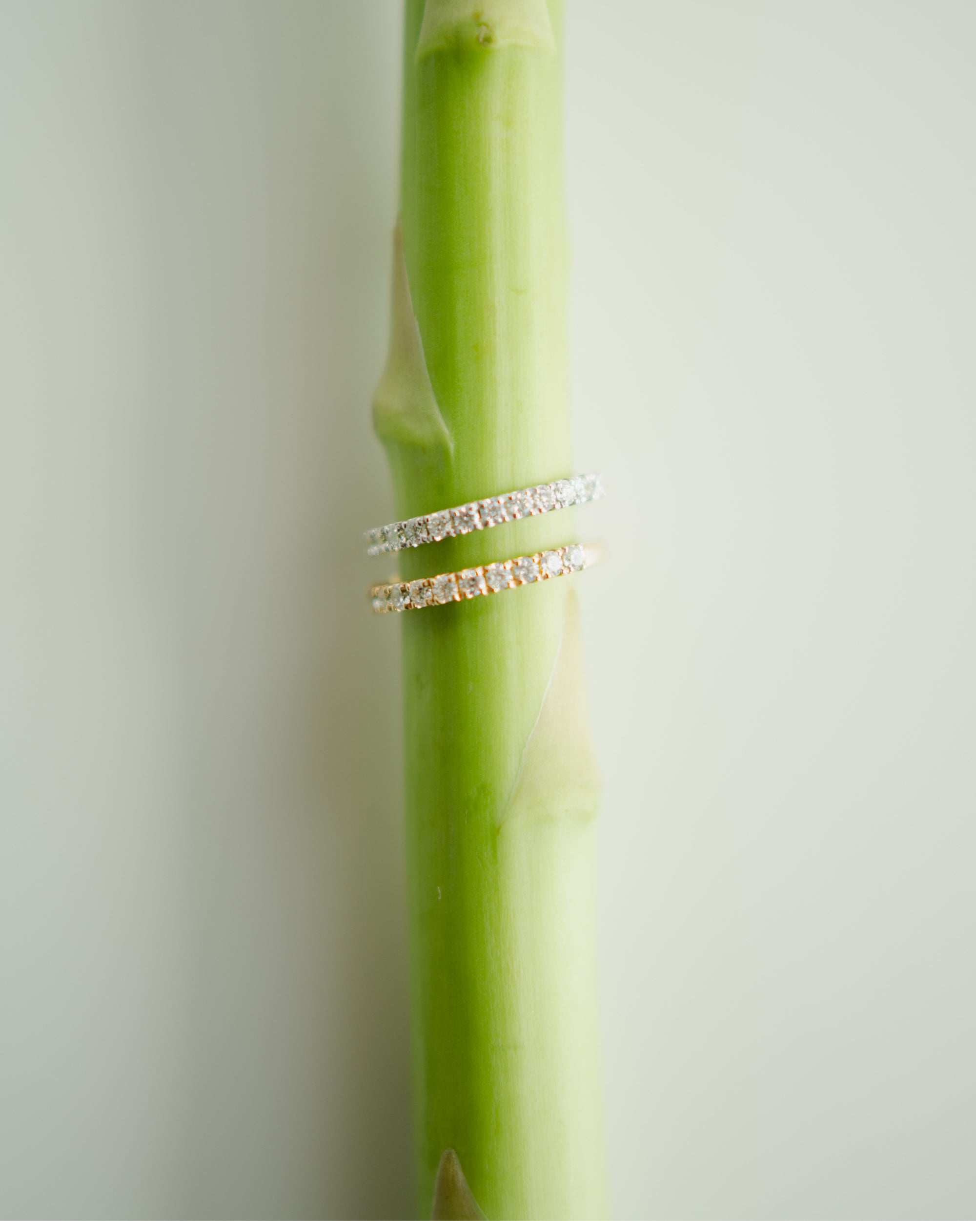 [Lumière] Half eternity ring 0.3ct 10KYG