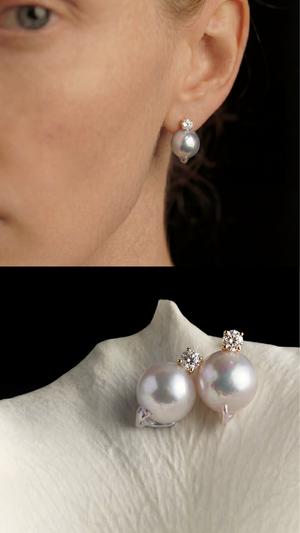 [Unique Akoya Pearl] Akoya pearl point earrings (pair)