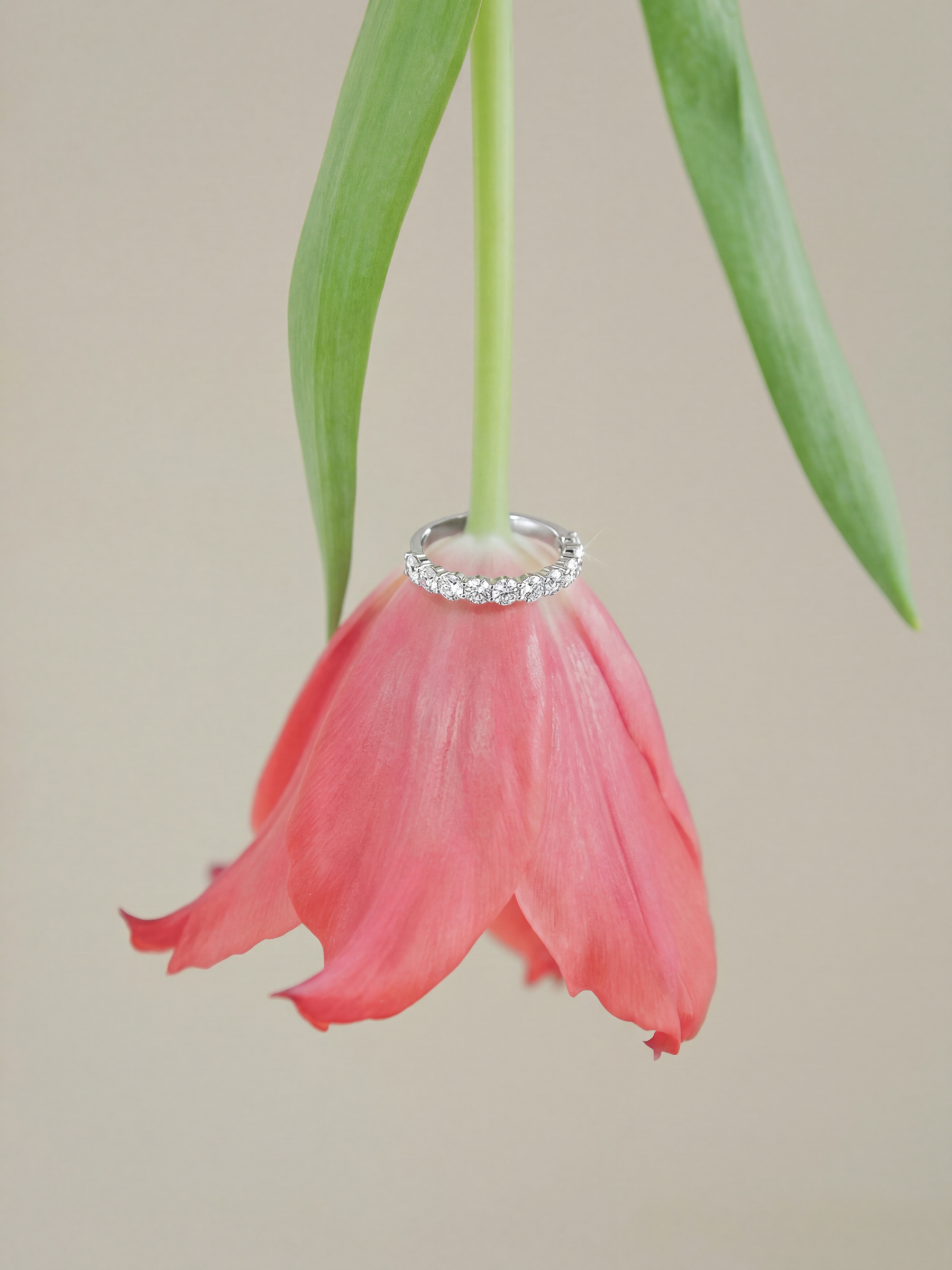 [Lumière] Half eternity ring 1ct Pt