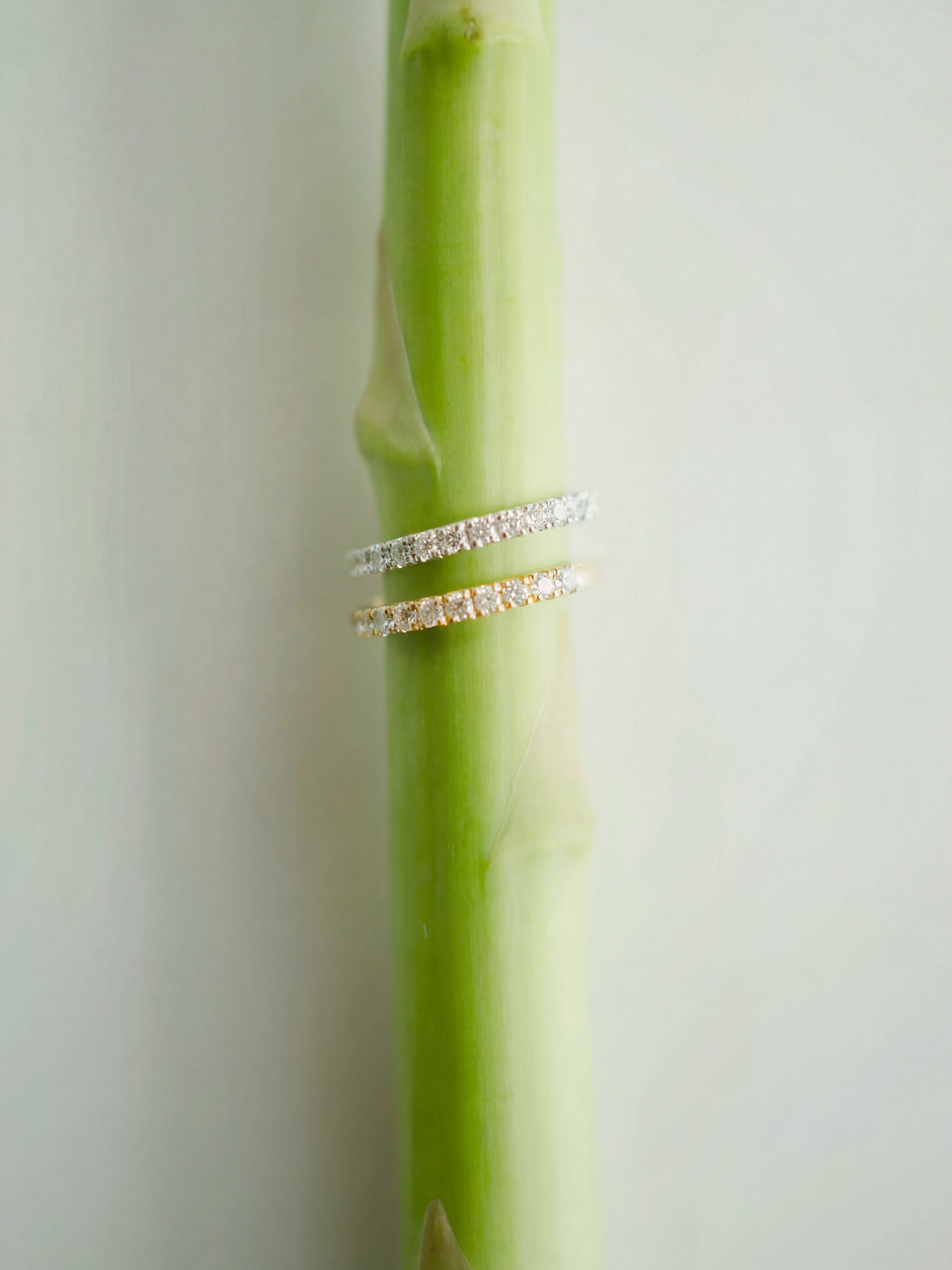 [Lumière] Half eternity ring 0.3ct 10KYG