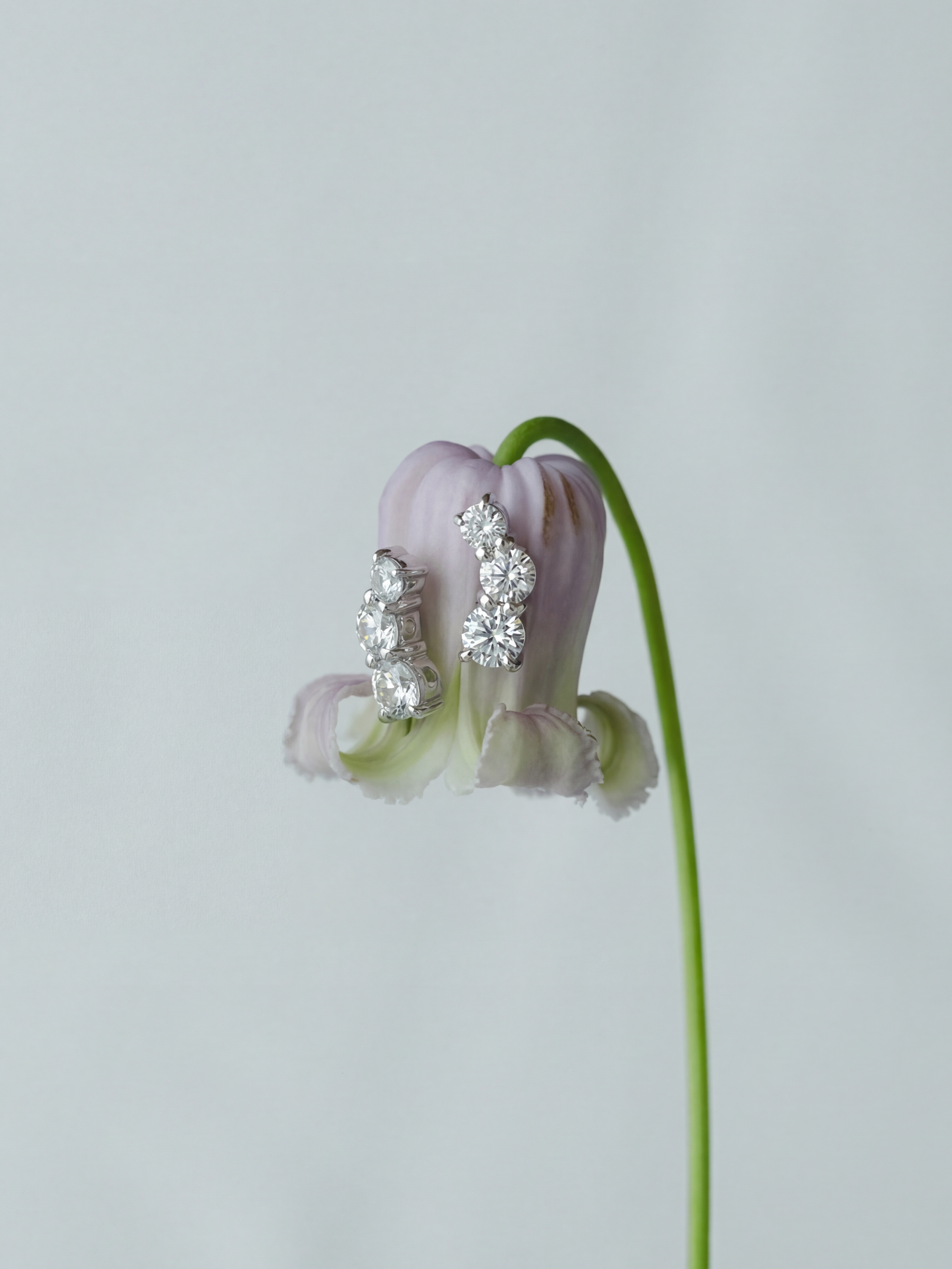 [Fluidity of Love]  Fluid diamond earrings (pair)